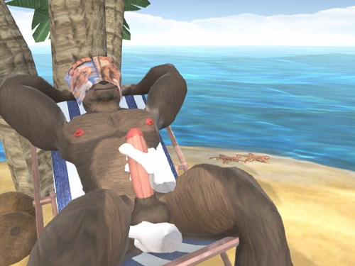 Bara Beach Bear