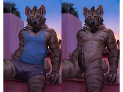 Chasing Stripes